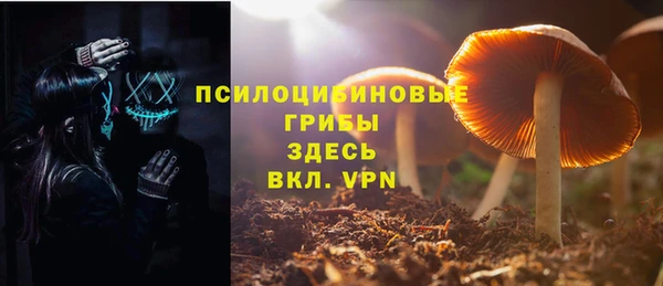 ГАЛЛЮЦИНОГЕННЫЕ ГРИБЫ Абинск