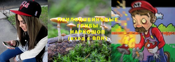 мдпв Абаза
